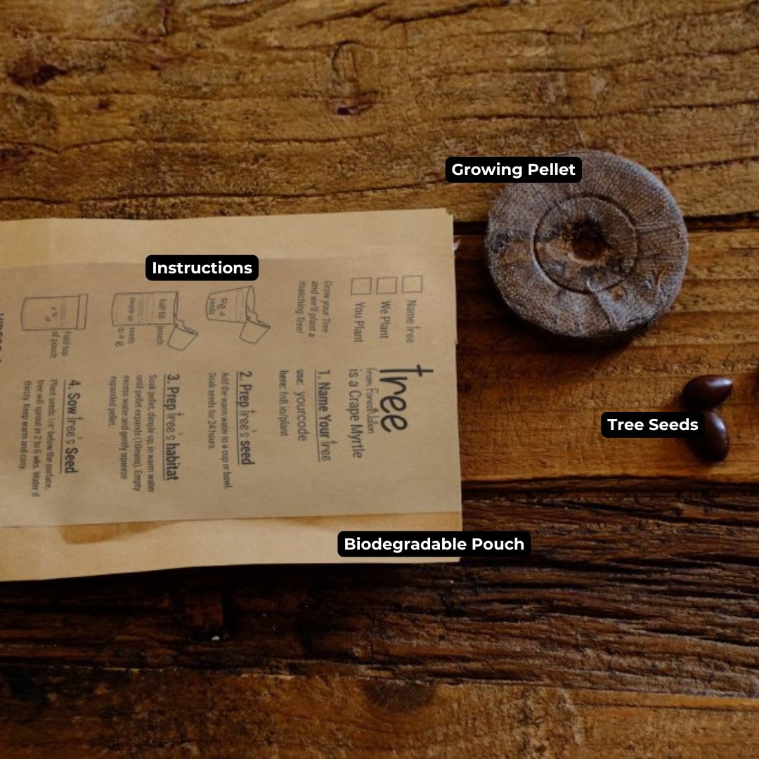 tree kit cup label branding tags (3)