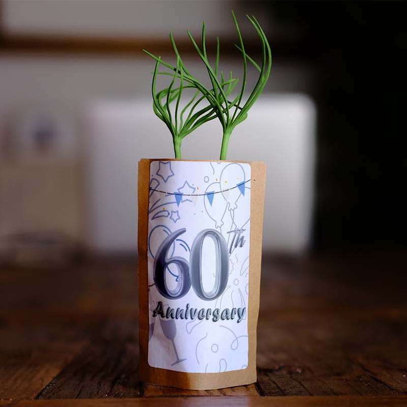 60th Anniversary