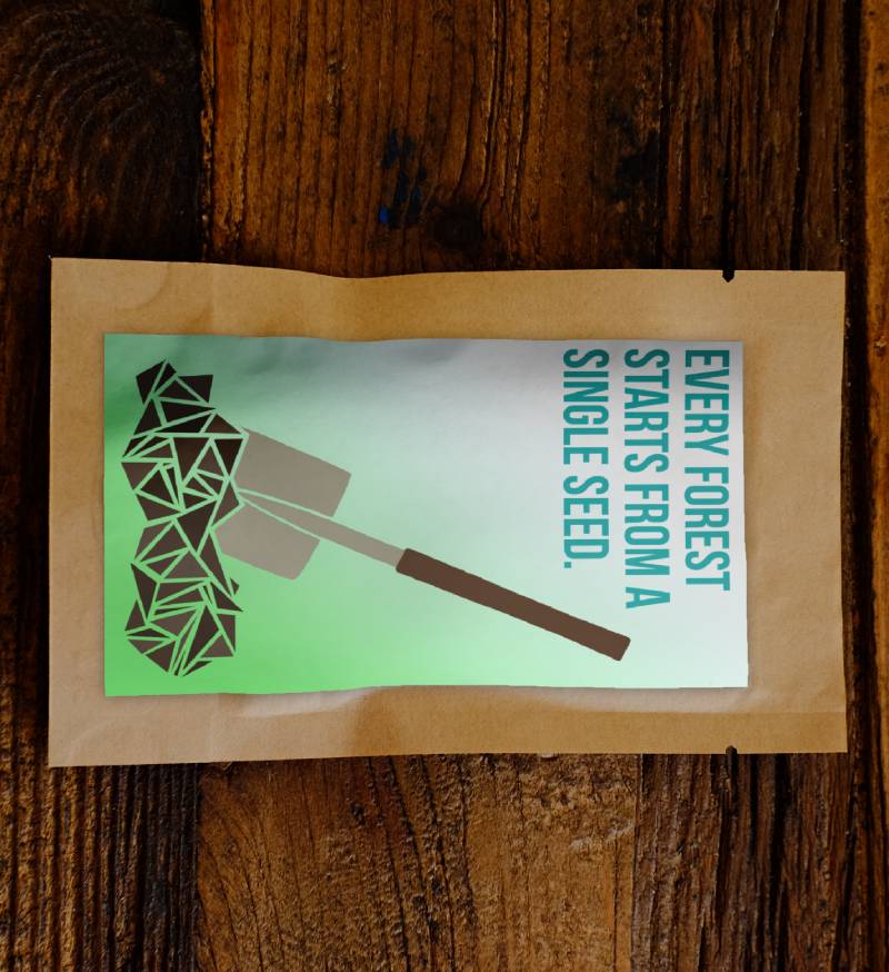 Every Forest Starts From a Single Seed - Plants 10 Trees
