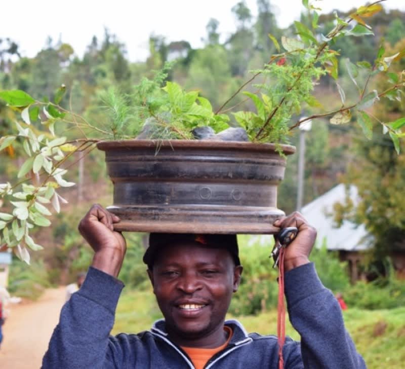 tanzania impact tree kits