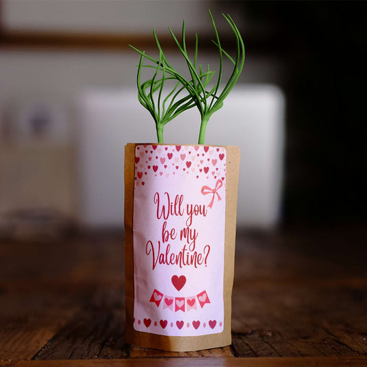 Will You Be My Valentine