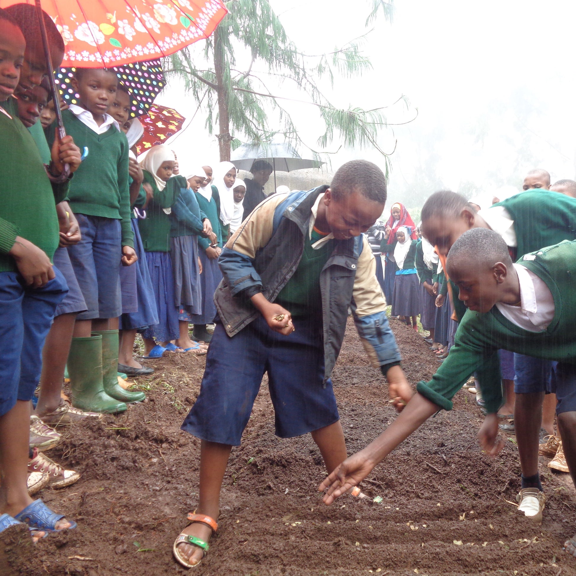 tanzania impact