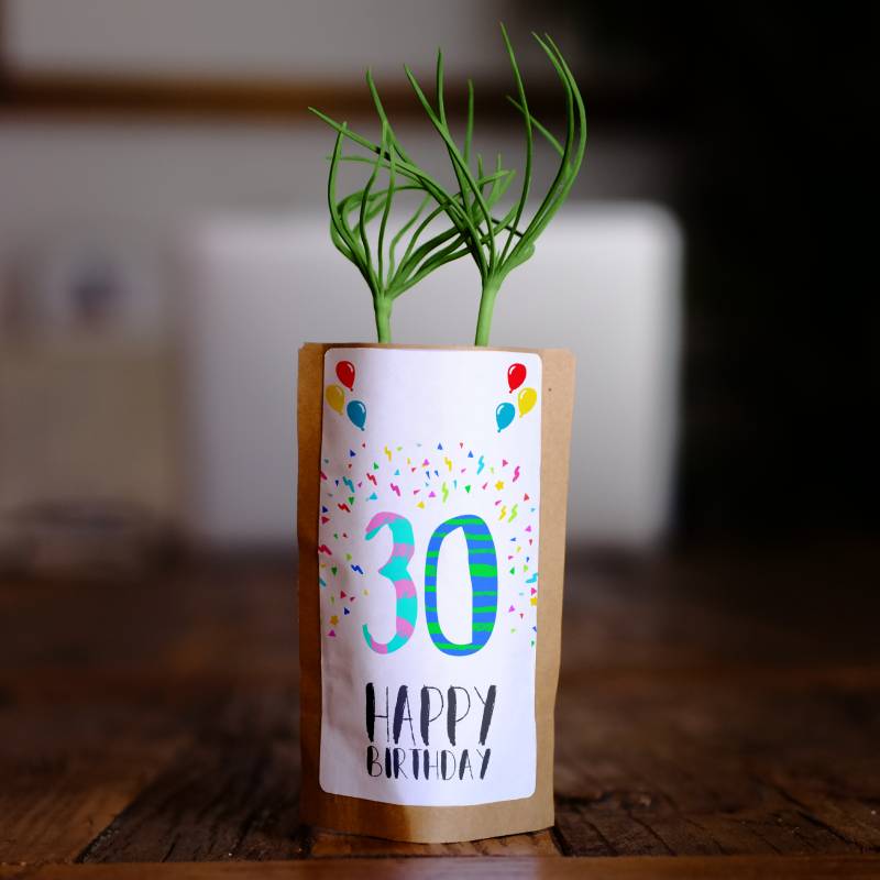 Happy 30th Birthday