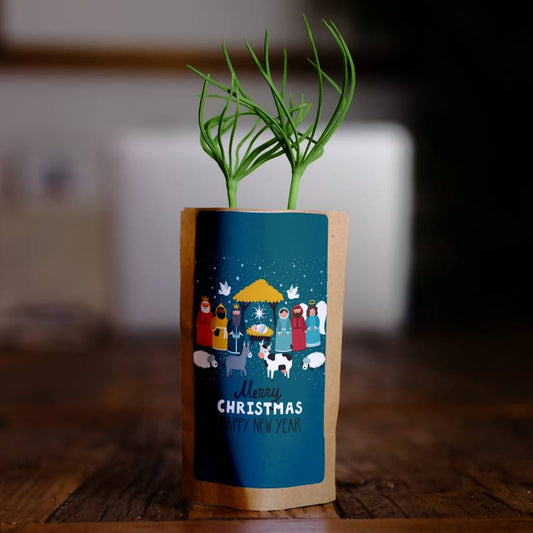 Traditional Nativity Christmas Greetings