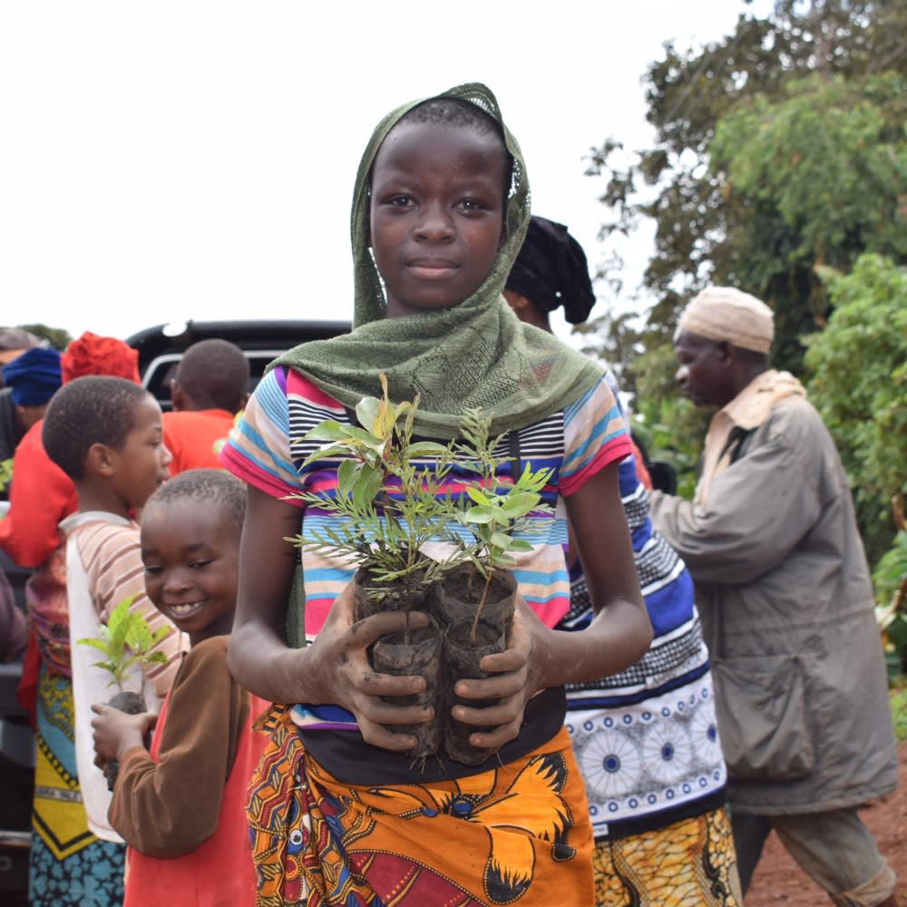 tanzania impact
