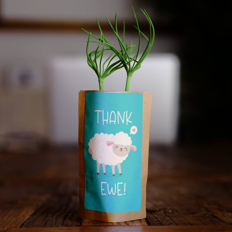 Thank Ewe