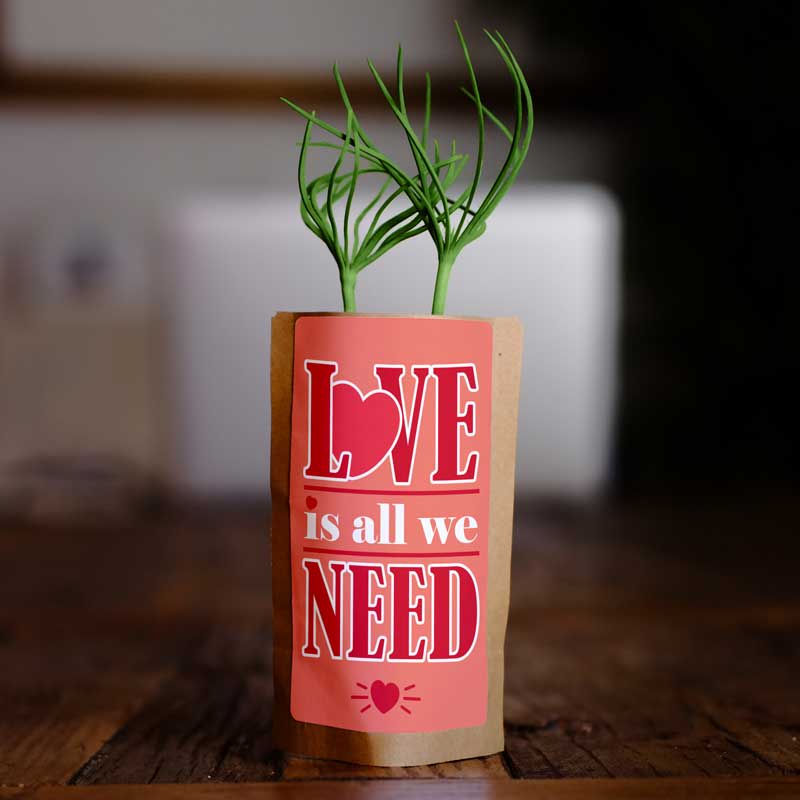 Love is all we need