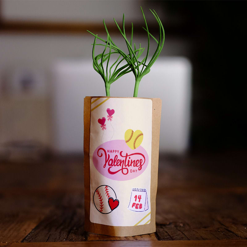 Softball Valentines