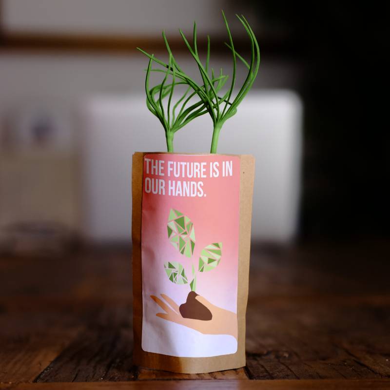 The future is in our hands