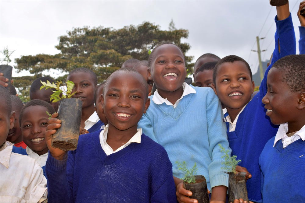 Forest Ambassador Tree Cup, We Plant 200 More Trees